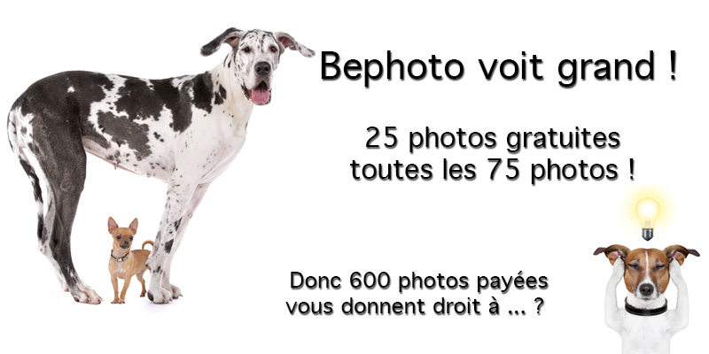 Des photos offertes